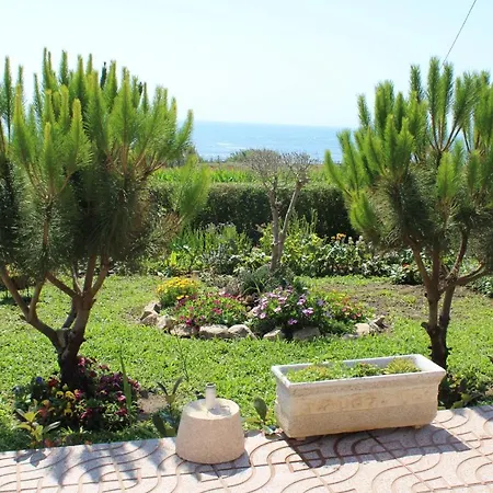 Casa Do Vila Cha (Porto)